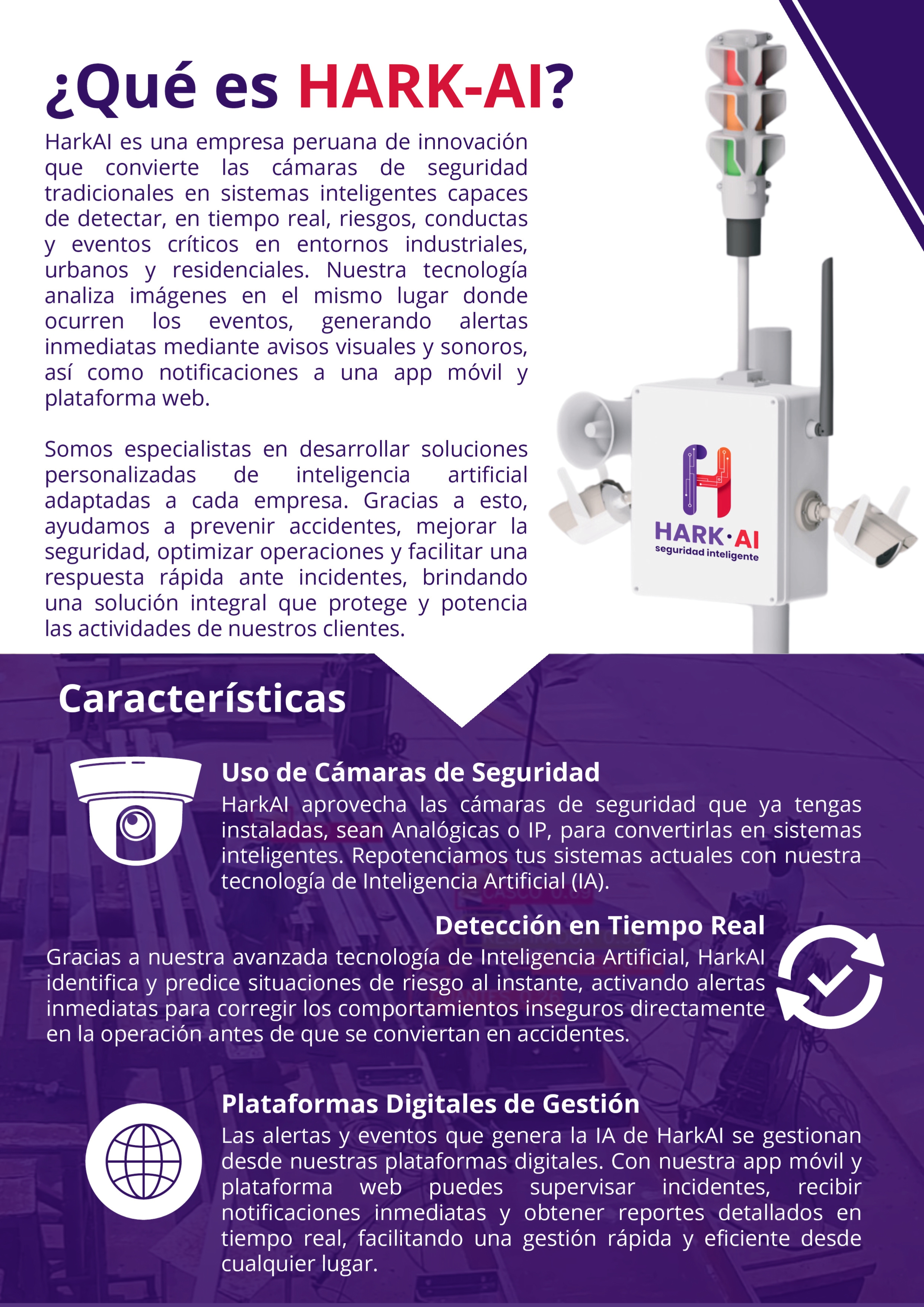 Imagen descriptiva